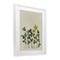 Stupell Industries Hidden Gems Botanicals Framed Print Under Glass, design by Grace Popp
